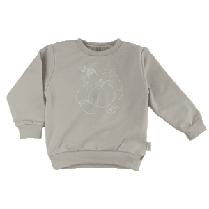 
                  
                    Sweater Pompoenendans - Beige
                  
                